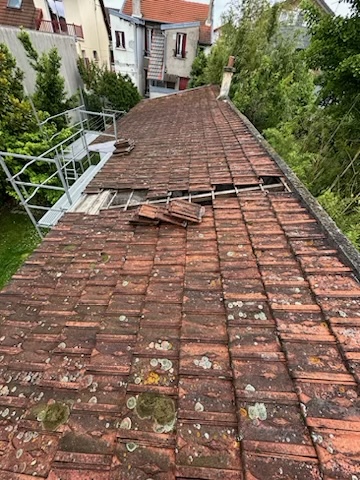 Toiture avant travaux — mousses et salissures